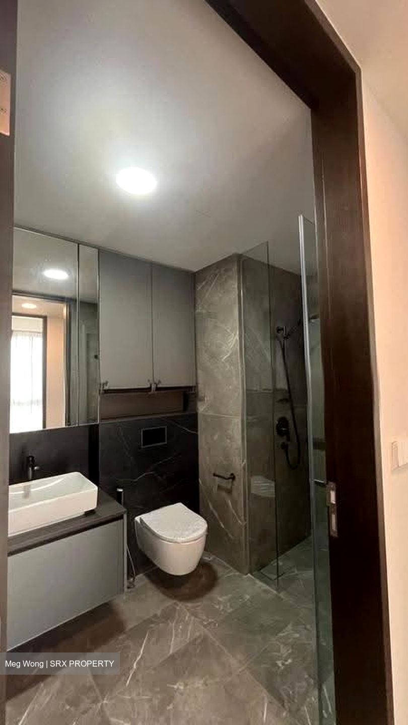 Irwell Hill Residences (D9), Apartment #612039551